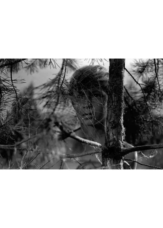 僕の村は戦場だった　デジタル・リマスター版