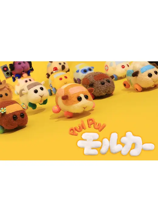 PUI PUI モルカー