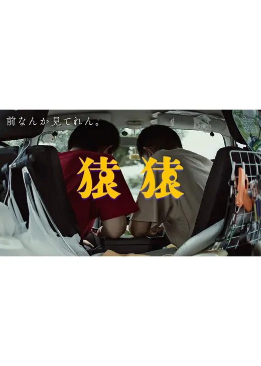 猿猿