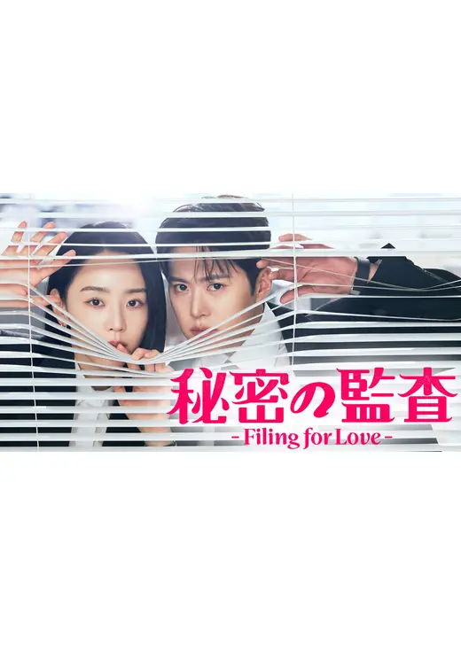 秘密の監査 -Filing for Love-