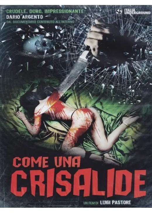 Come una crisalide（原題）