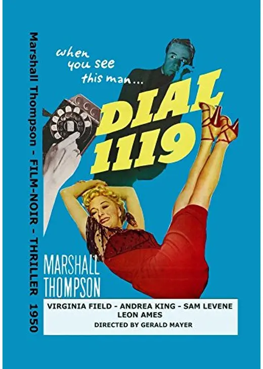 ダイヤル1119