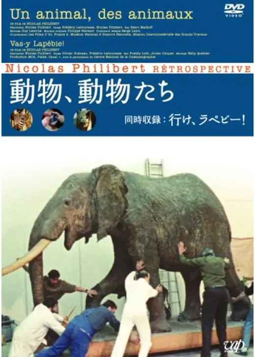 行け、ラペビー！