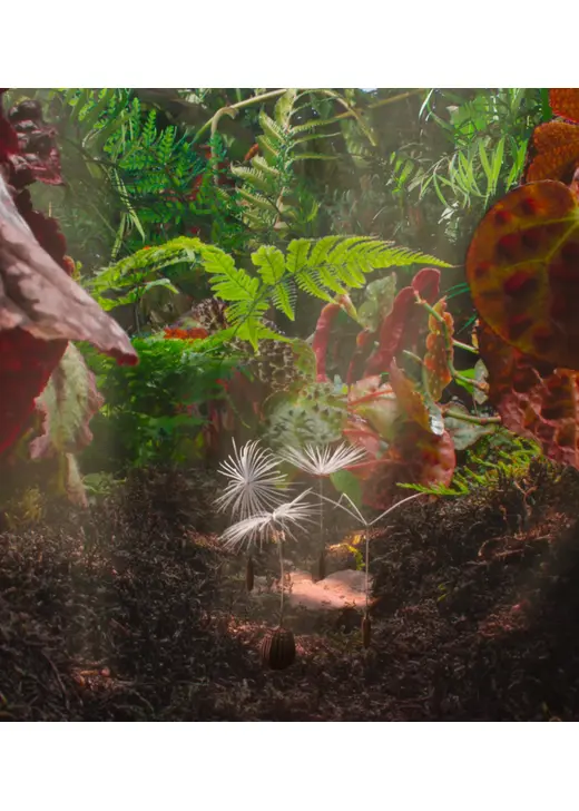 ダンデライオンズ・オデッセイ