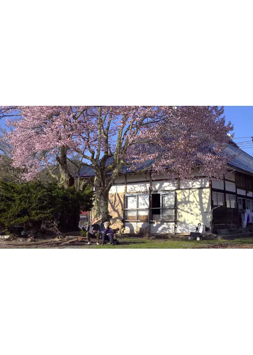 福島桜紀行