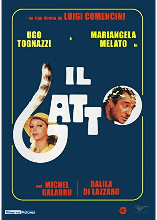 IL GATTO　猫