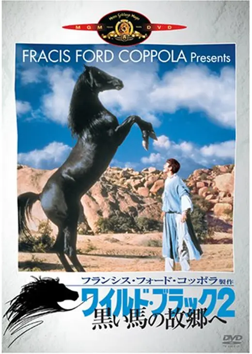 ワイルド・ブラック2／黒い馬の故郷へ