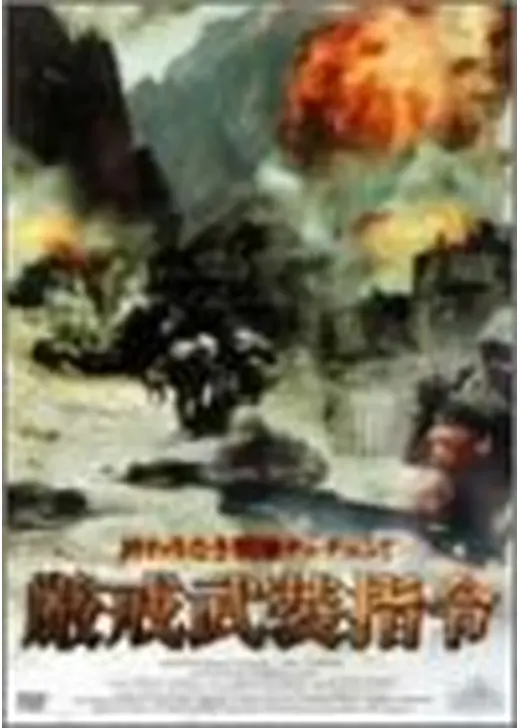厳戒武装指令
