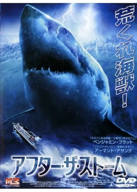 アフター・ザ・ストーム