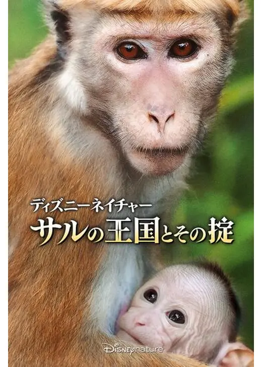 ディズニーネイチャー サルの王国とその掟