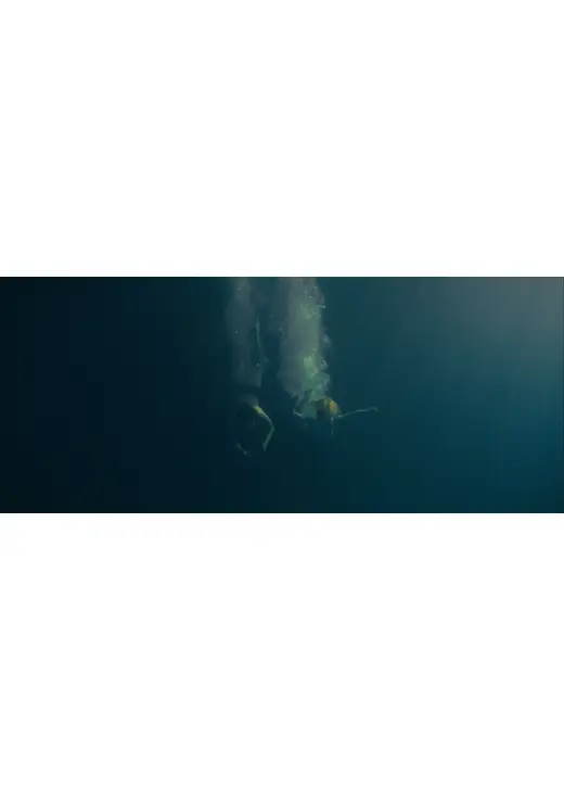 DIVE