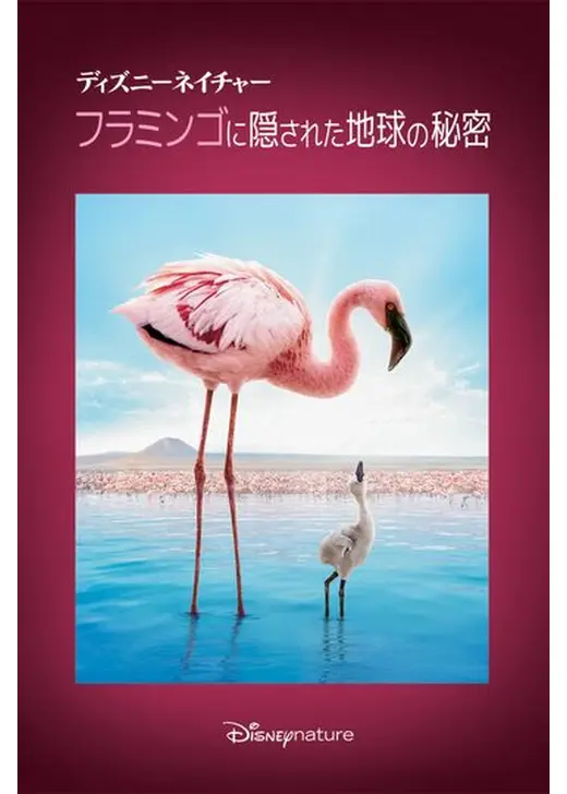 ディズニーネイチャー／フラミンゴに隠された地球の秘密