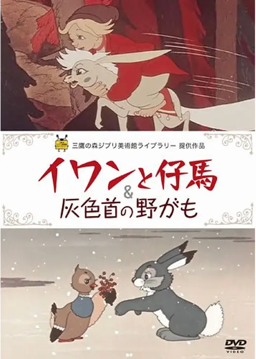 灰色首の野がも