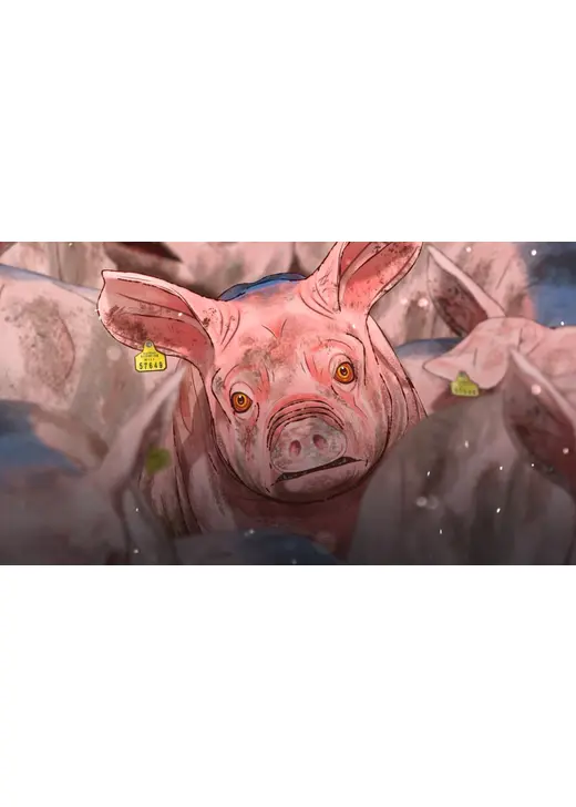 ⼝蹄疫から⽣きのびた豚