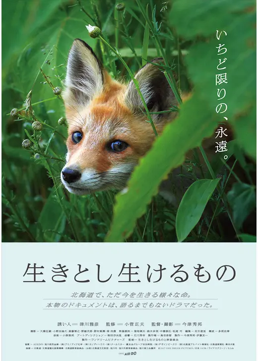 生きとし生けるもの