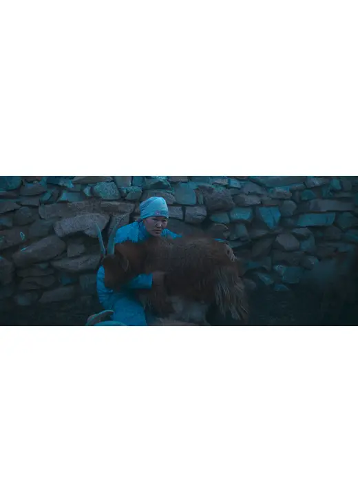 狼は夜やってくる