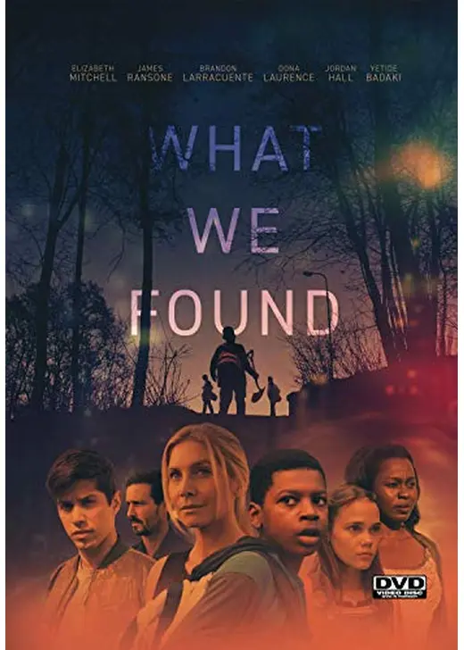 What We Found（原題）