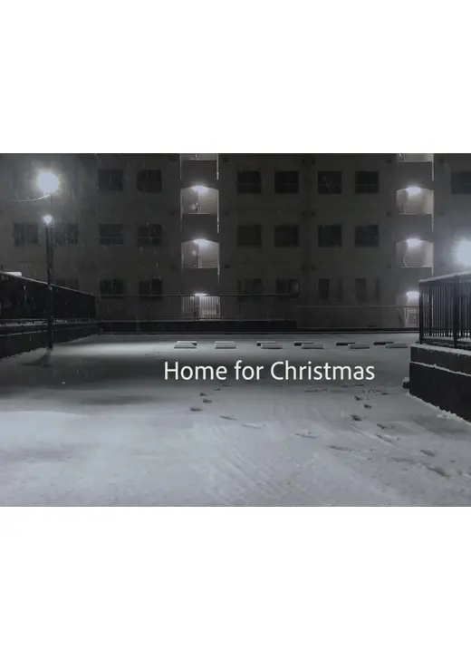 クリスマスのための家