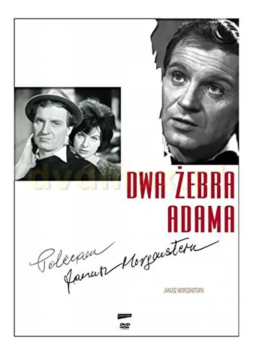 Dwa zebra Adama（原題）
