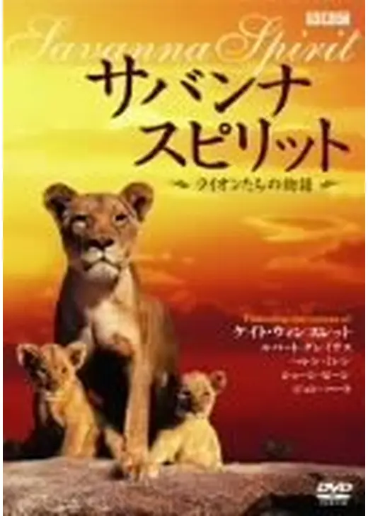 サバンナ スピリット ライオンたちの物語