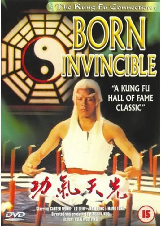 ドラゴン太極拳／必殺ヤングマスター！無敵の金魔王・銀魔王を倒せ