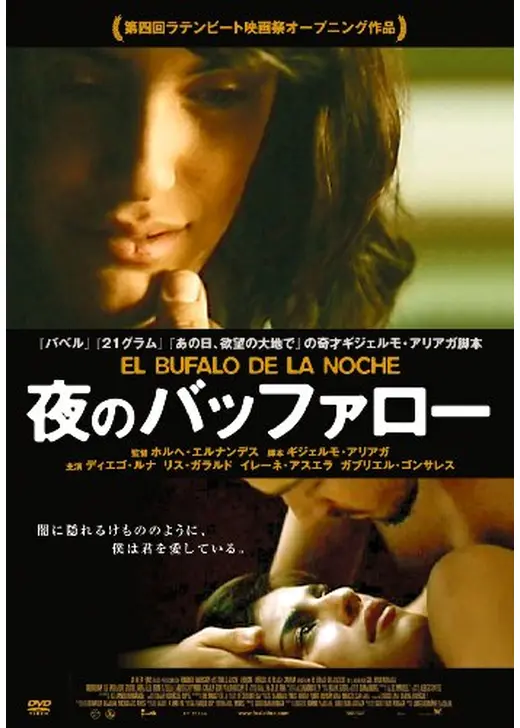 夜のバッファロー