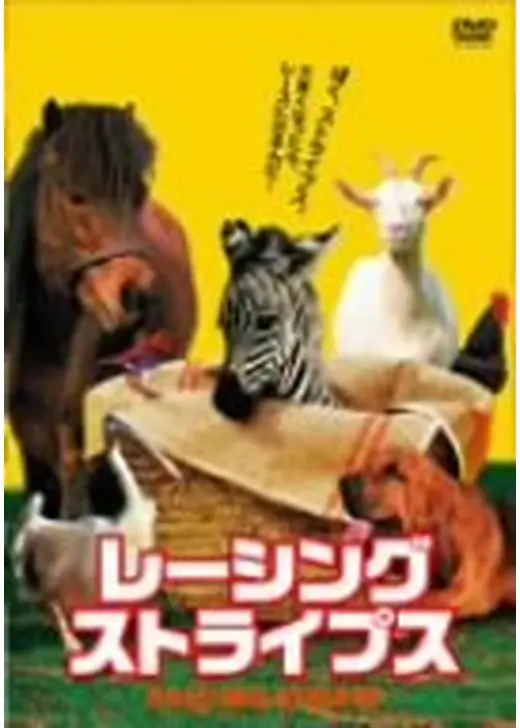 レーシング・ストライプス