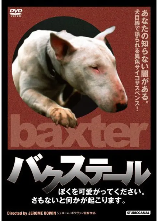 バクステール／ぼくを可愛がってください。さもないと何かが起こります。