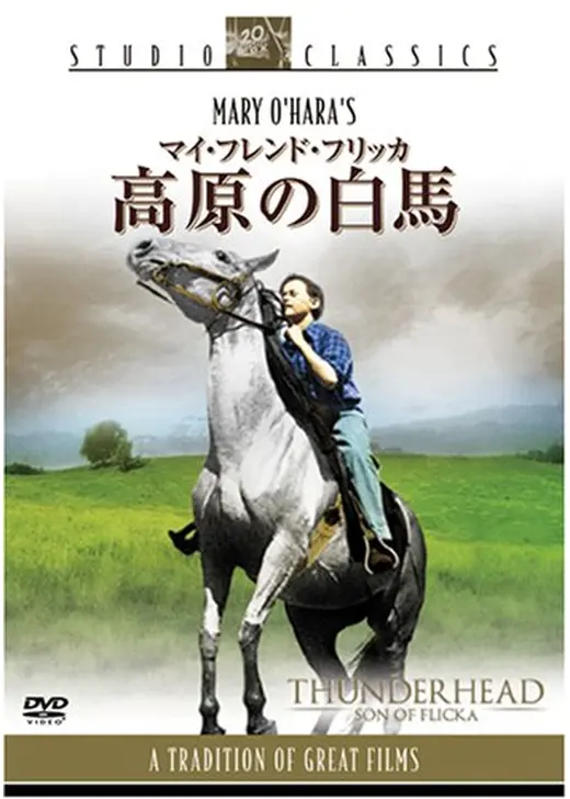 高原の白馬