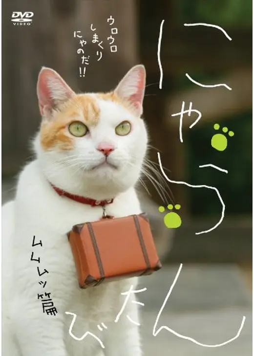 にゃらん たび ムムムッ篇
