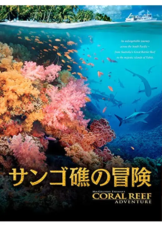 サンゴ礁の冒険