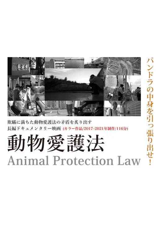 動物愛護法