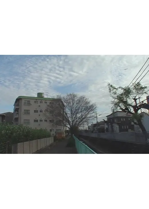 伊丹 2009 年初夏―晩秋