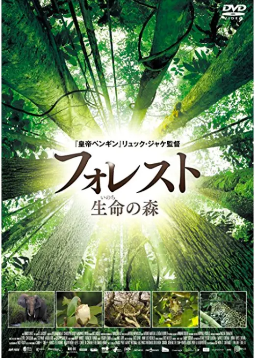 フォレスト 生命の森