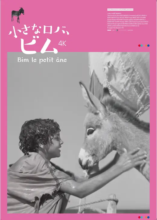 ⼩さなロバ、ビム 4K