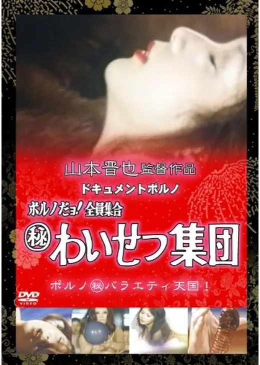 ドキュメントポルノ ポルノだよ！全員集合●秘わいせつ集団