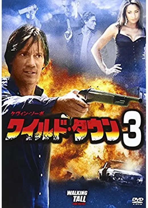 ワイルド・タウン3