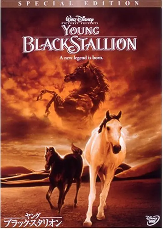 ヤング・ブラック・スタリオン