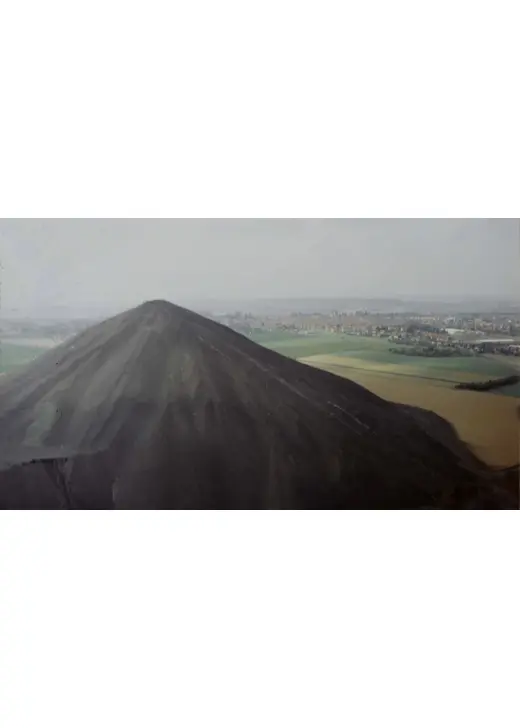 ウニの陰謀