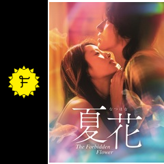 中国ドラマ 夏花 DVD全巻 ジェリーイェン　シュー・ルオハン　レンタル落ち 中国ドラマ 夏花 DVD全巻 ジェリーイェン シュー・ルオハン
