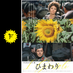 名作ひまわり ひまわり｣(1970年) | ネコ人間のつぶやき