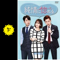 純情に惚れるの動画配信サービス・視聴方法・サブスクまとめ