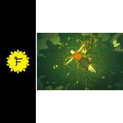 紅き大魚の伝説 映画情報・レビュー・評価・あらすじ・動画配信 Filmarks映画