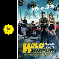 ワイルドスピードもどき